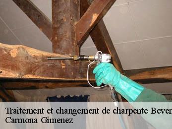 Traitement et changement de charpente  38690