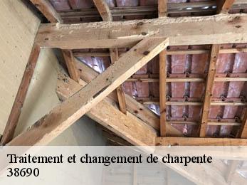 Traitement et changement de charpente  38690