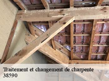 Traitement et changement de charpente  38590