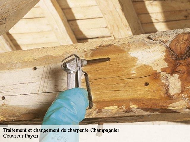 Traitement et changement de charpente  champagnier-38800 Couvreur Payen