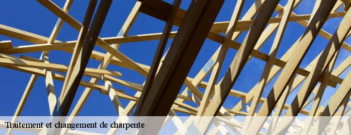 Traitement et changement de charpente 38260