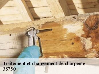 Traitement et changement de charpente 38750