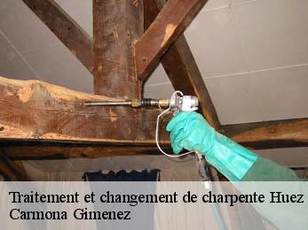 Traitement et changement de charpente 38750