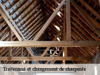 Traitement et changement de charpente 38750