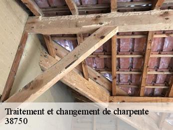 Traitement et changement de charpente 38750