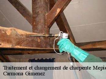 Traitement et changement de charpente 38510