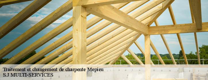 Traitement et changement de charpente  38510