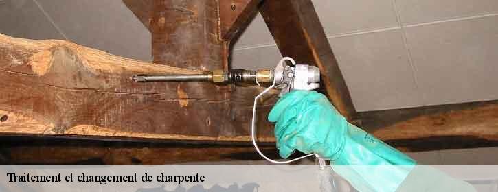 Traitement et changement de charpente 38210