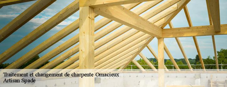 Traitement et changement de charpente 38260