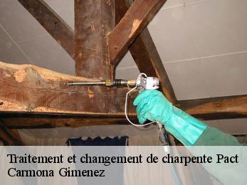 Traitement et changement de charpente 38270