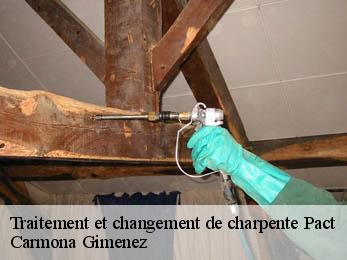 Traitement et changement de charpente  38270