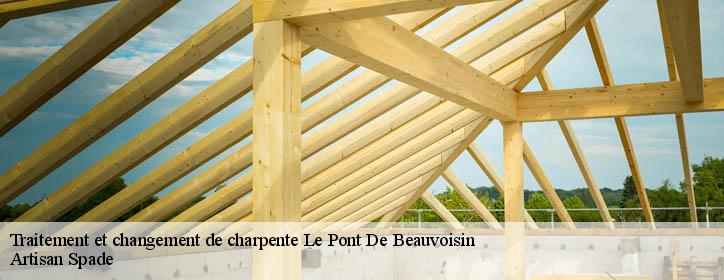 Traitement et changement de charpente  38480