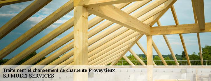 Traitement et changement de charpente  38120