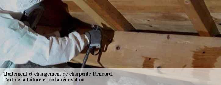 Traitement et changement de charpente 38680