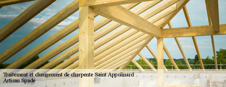 Traitement et changement de charpente  38160