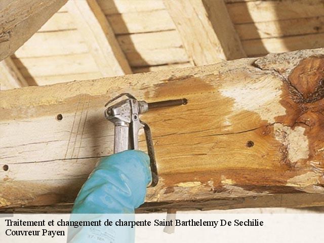 Traitement et changement de charpente  saint-barthelemy-de-sechilie-38220 Couvreur Payen