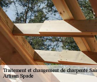 Traitement et changement de charpente saint-geoire-en-valdaine-38620 Artisan Spade