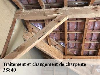 Traitement et changement de charpente  38840