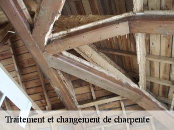 Traitement et changement de charpente