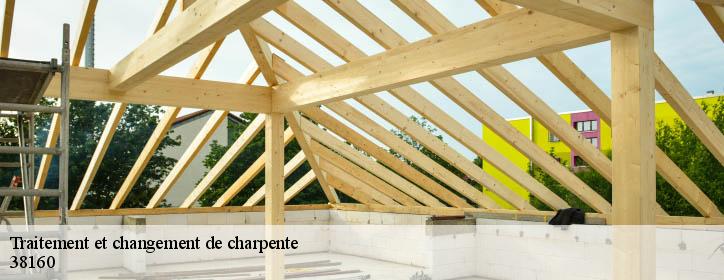 Traitement et changement de charpente 38160