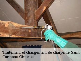 Traitement et changement de charpente 38660