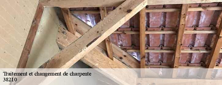 Traitement et changement de charpente  38210