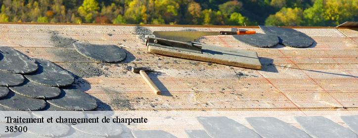 Traitement et changement de charpente 38500