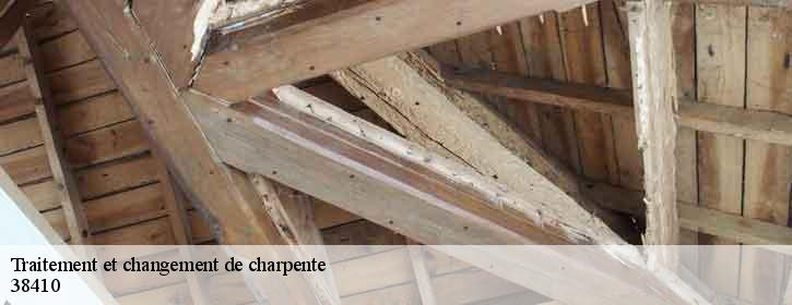 Traitement et changement de charpente  38410