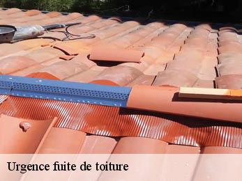 Urgence fuite de toiture  38150