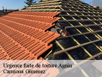 Urgence fuite de toiture  agnin-38150 Couvreur Payen