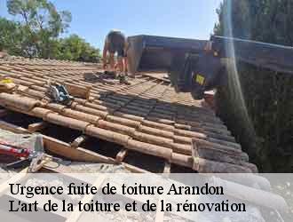 Urgence fuite de toiture  arandon-38510 L'art de la toiture et de la rénovation