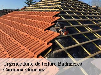 Urgence fuite de toiture  badinieres-38300 Couvreur Payen