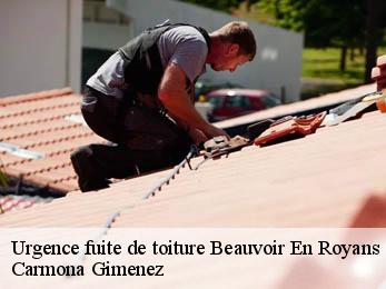 Réparation fuite de toiture