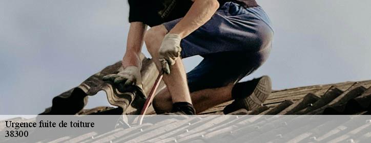 Urgence fuite de toiture  38300