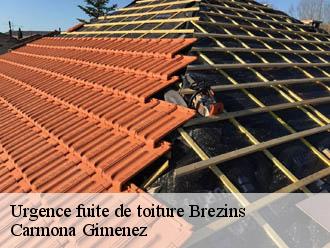 Urgence fuite de toiture  brezins-38590 Couvreur Payen