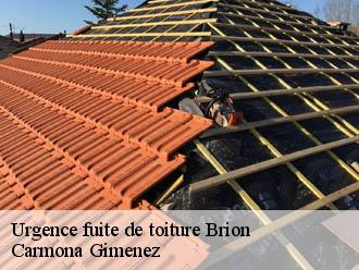 Urgence fuite de toiture  brion-38590 Couvreur Payen