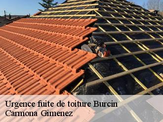 Urgence fuite de toiture burcin-38690 Couvreur Payen