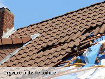 Urgence fuite de toiture