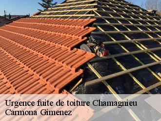 Urgence fuite de toiture chamagnieu-38460 Couvreur Payen