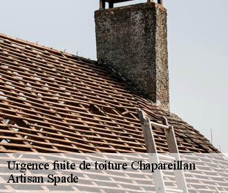 Urgence fuite de toiture chapareillan-38530 Artisan Spade