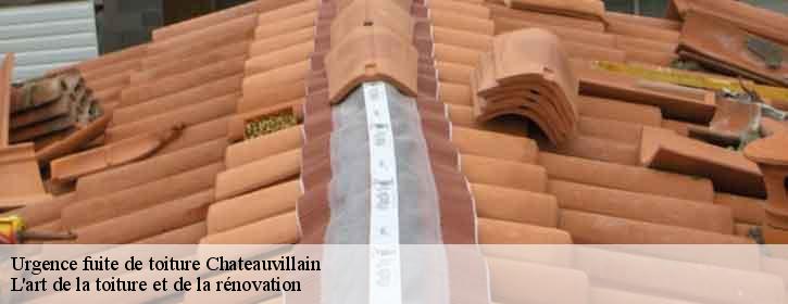 Urgence fuite de toiture  38300