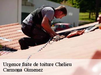 Urgence fuite de toiture