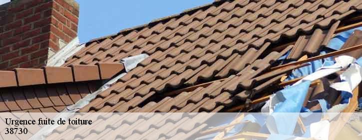 Urgence fuite de toiture  38730