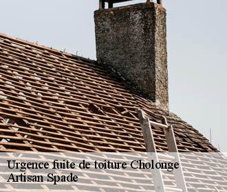 Urgence fuite de toiture  cholonge-38220 Artisan Spade