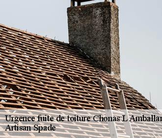 Urgence fuite de toiture  chonas-l-amballan-38121 Artisan Spade