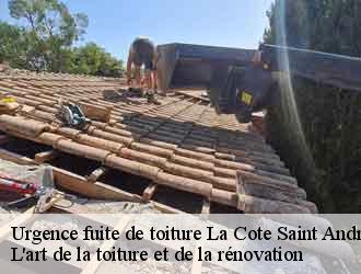 Urgence fuite de toiture la-cote-saint-andre-38260 L'art de la toiture et de la rénovation