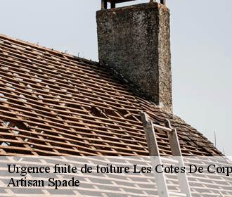 Urgence fuite de toiture  les-cotes-de-corps-38970 Artisan Spade
