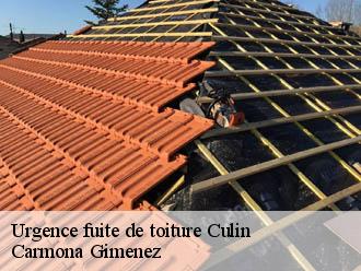 Urgence fuite de toiture  culin-38300 Couvreur Payen