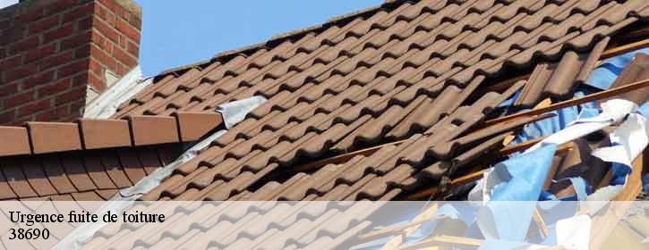 Urgence fuite de toiture  38690