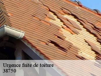 Urgence fuite de toiture 38750